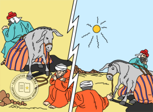 The Donkey's Shadow
